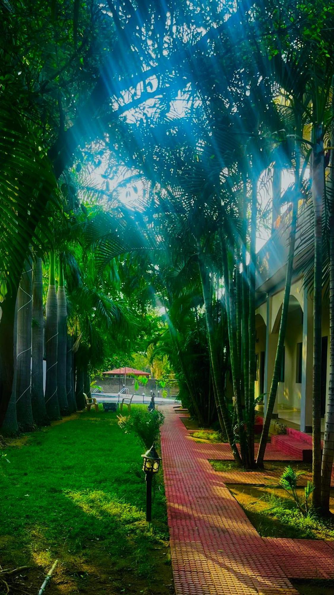 Jungle Palace Hotel 3*